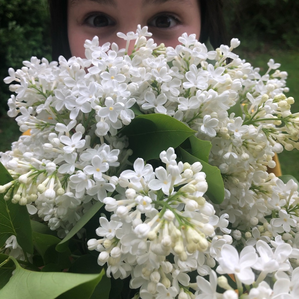 Meet your Posher, Rebecca